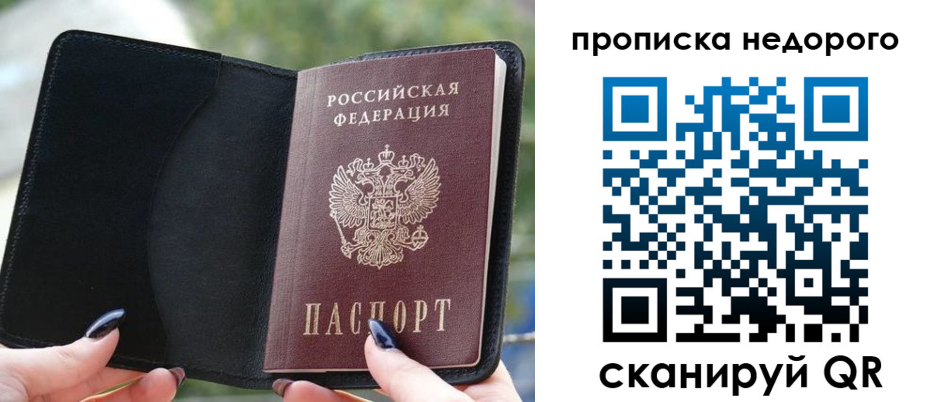 временная регистрация поиск в Приозерске